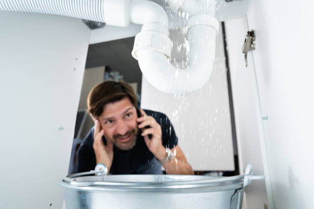 Best Local Plumber Services  in Fruitland, MD